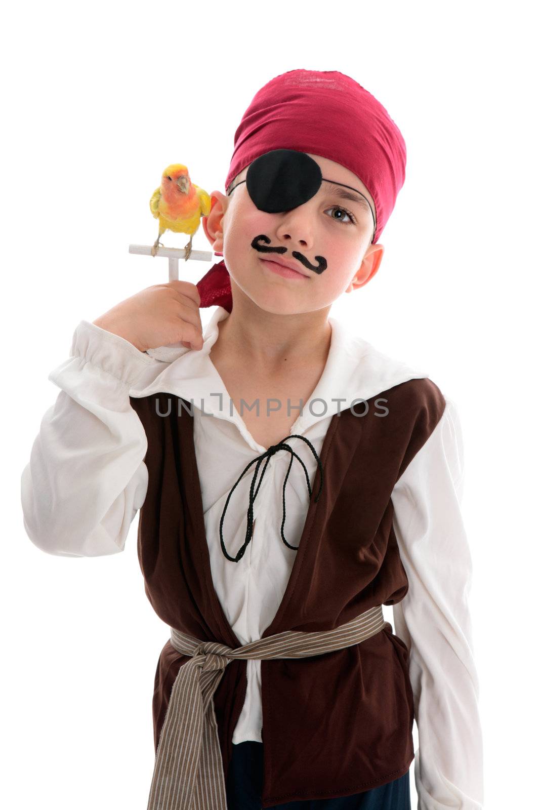 Pirate with pet bird by lovleah