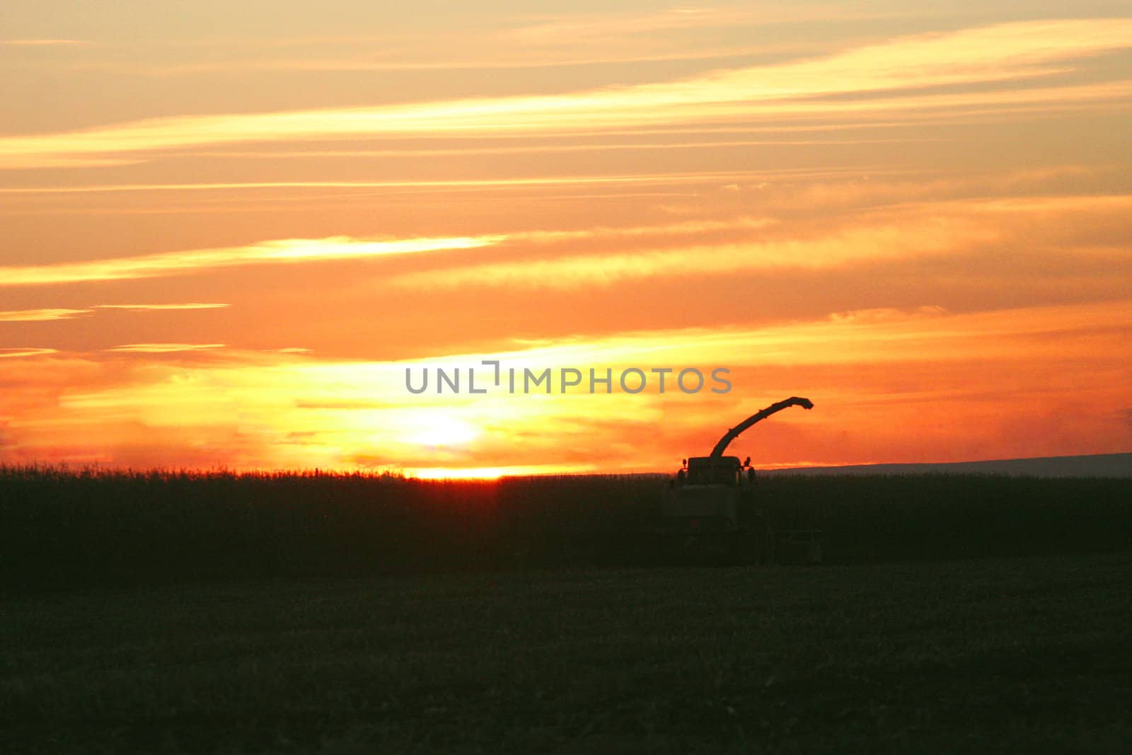 Corn Chopper at Sunset