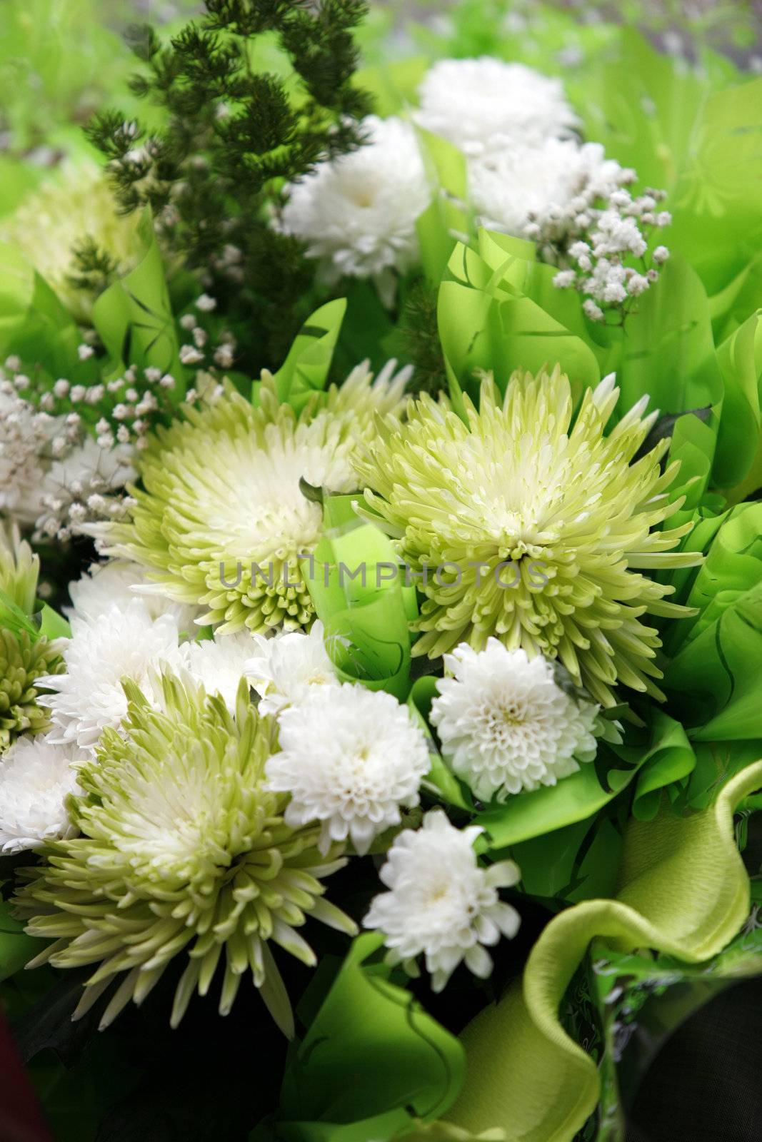 Bouquet from green and white chrysanthemums
