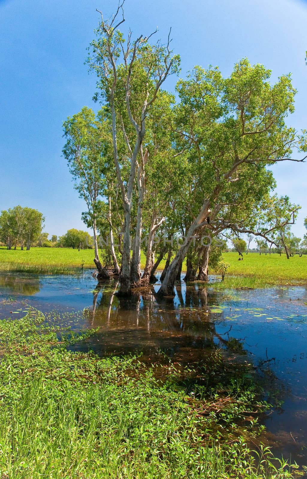 landscape of Kakadu National Park, australia