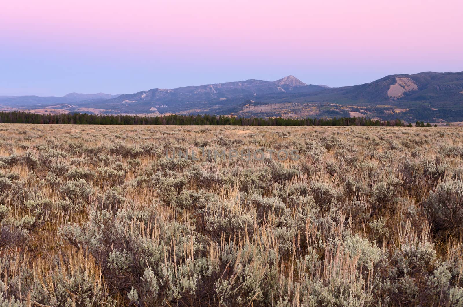 Sagebrush flats and the Gros Ventre Mountains after sunset, Grand Teton National Park, Wyoming, USA by CharlesBolin