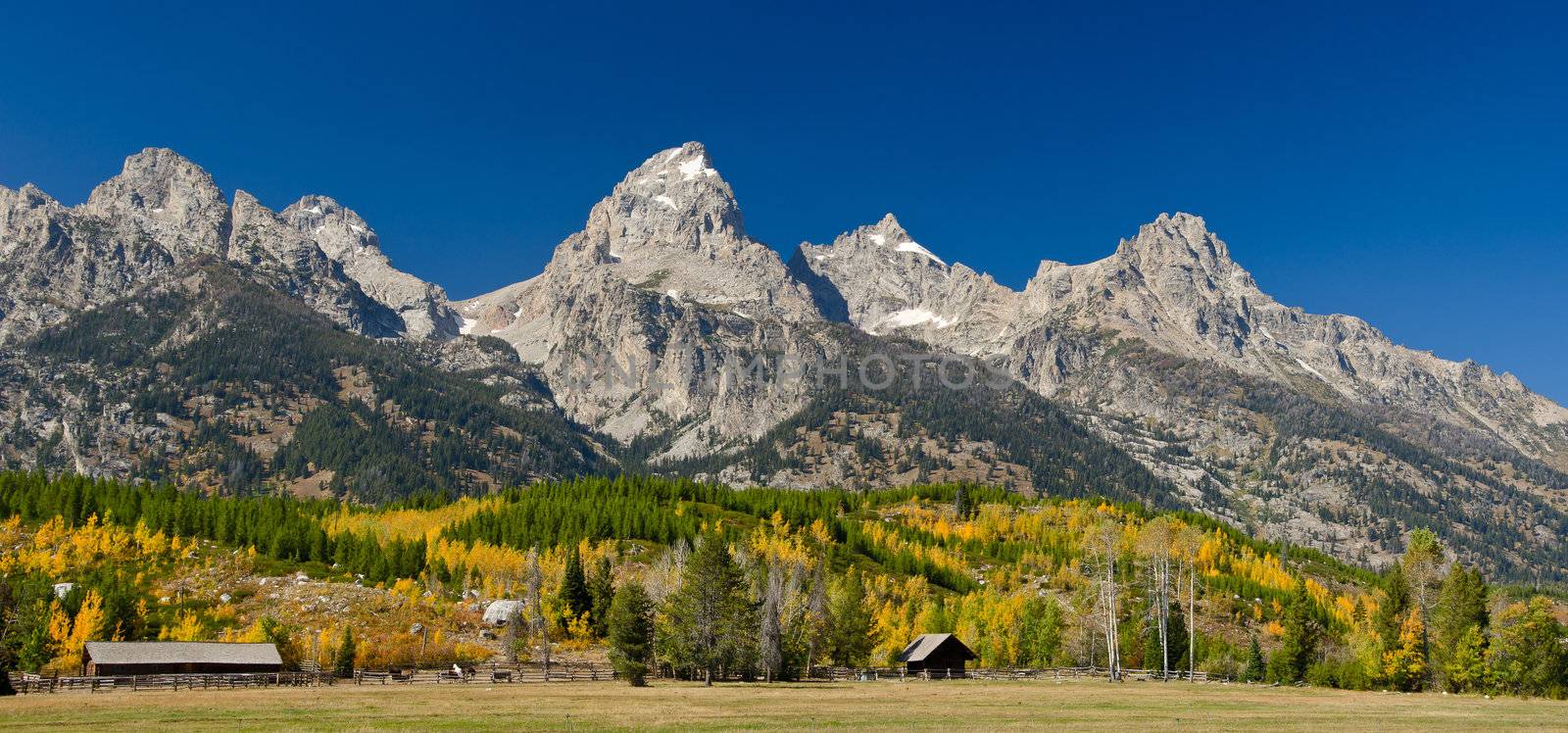 Horse ranch and the Teton Mountains in autumn, Grand Teton National Park, Wyoming, USA by CharlesBolin