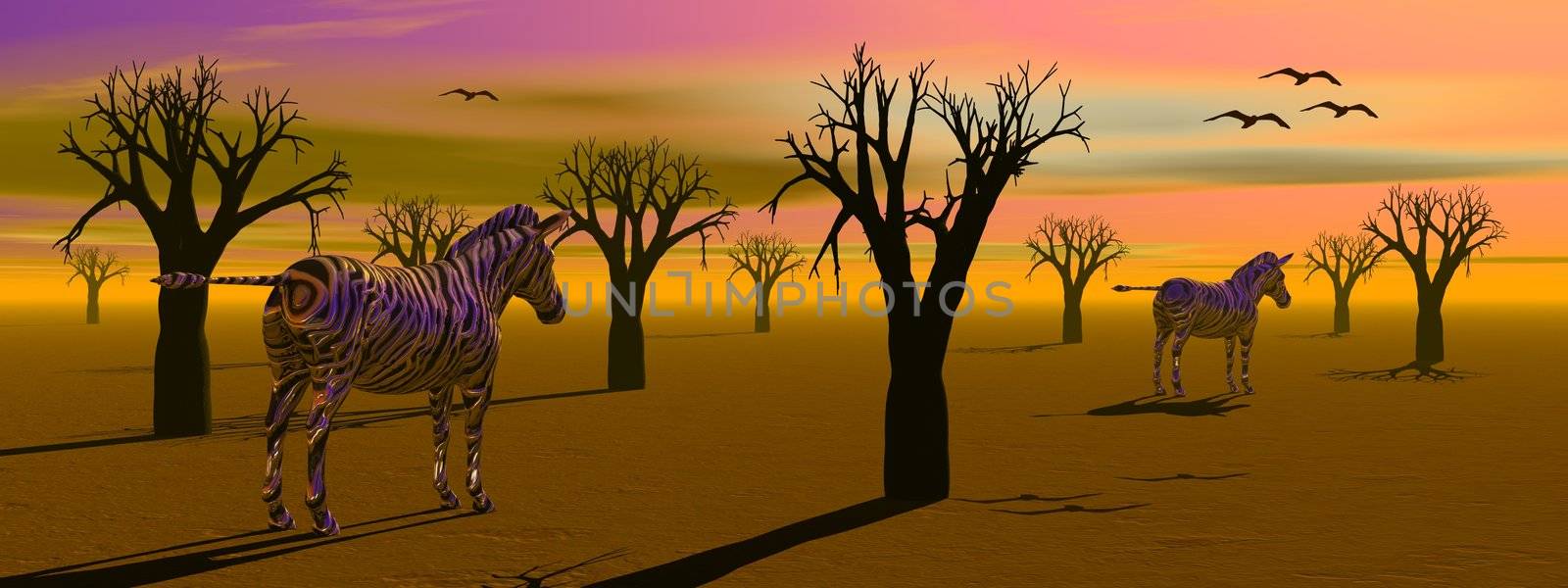 Desert with lots of baobab trees, birds and zebras ba sunset