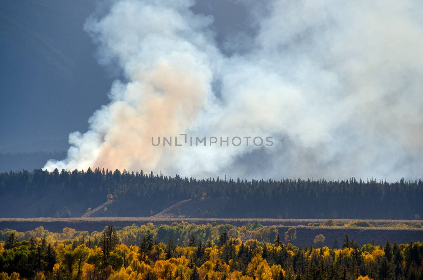Autumn forest and smoke from a forest fire, Grand Teton National Park, Wyoming, USA by CharlesBolin