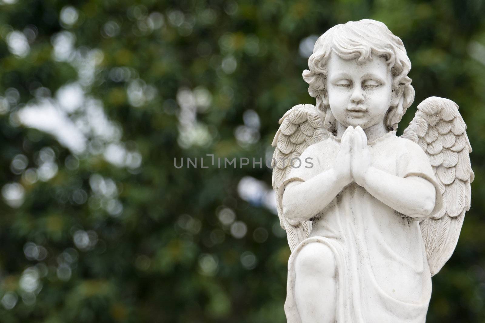 Cute winged Angel statue in praying pose with greenry background