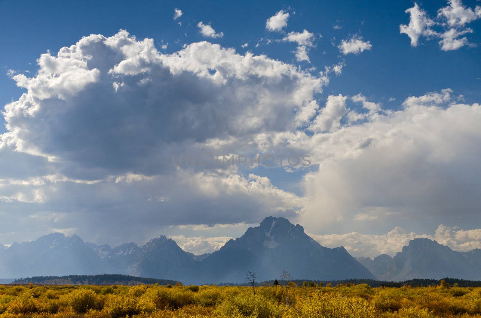 Willow flats, the Teton Mountains and clouds, Grand Teton National Park, Wyoming, USA by CharlesBolin