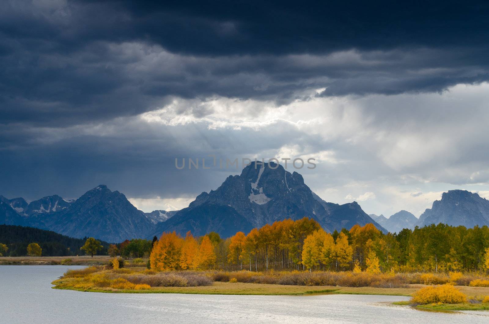 Autumn quaking aspens (Populus tremuloides), the Snake River, dark clouds and the Teton Mountains, Grand Teton National Park, Wyoming, USA