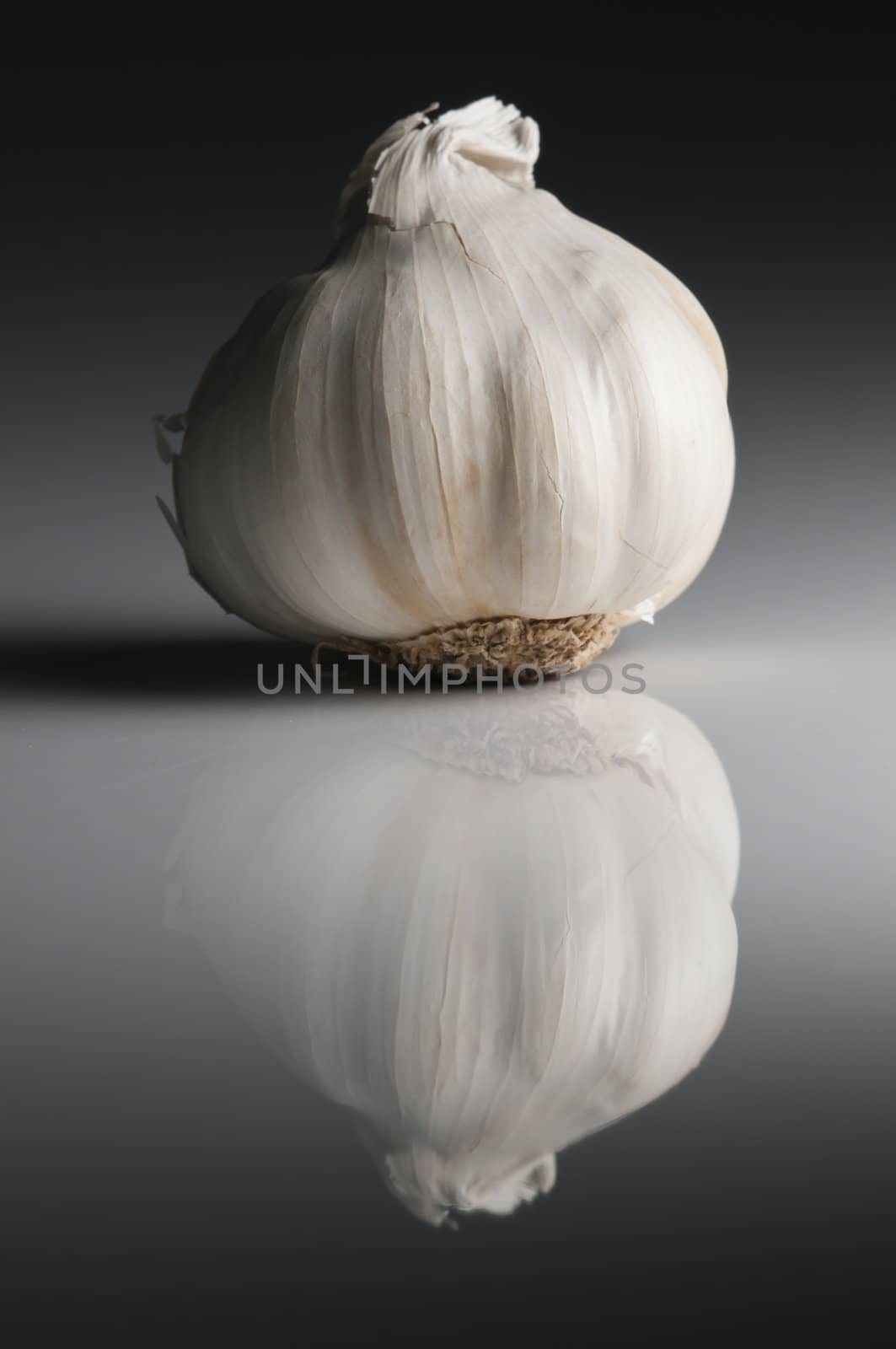 Garlic ready for preparing traditional Italian food