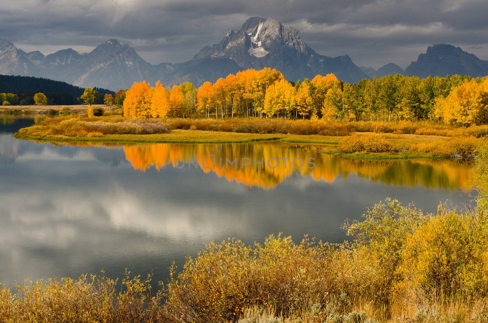 Autumn Aspens, the Snake River and Mount Moran, Grand Teton National Park, Wyoming, USA by CharlesBolin