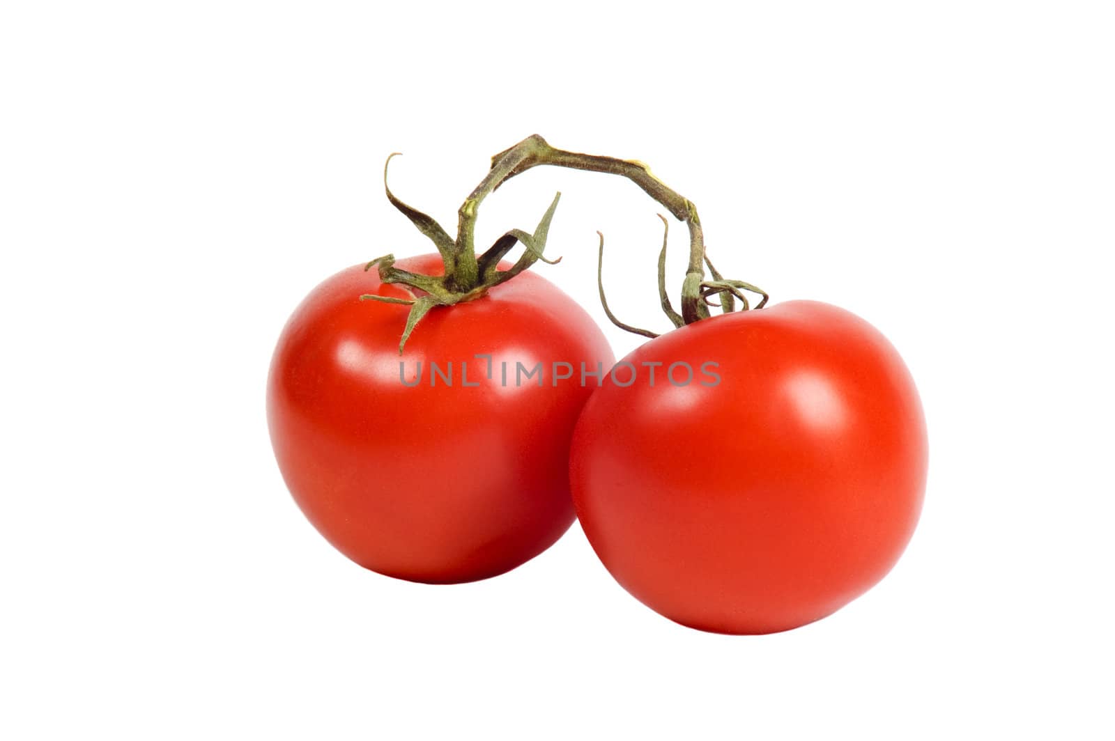 pair of nice ripe tomato's isolated on white