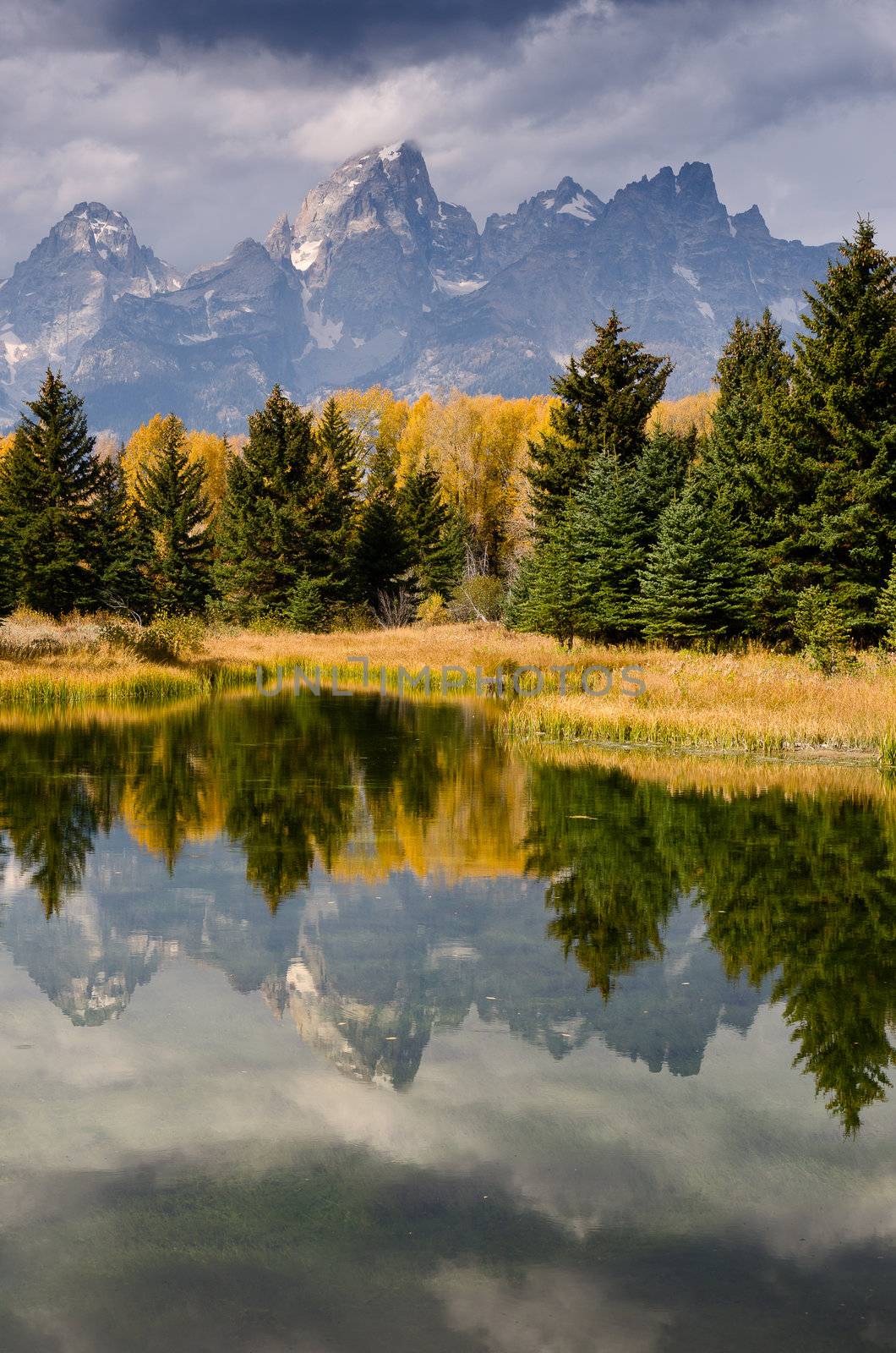 The Teton Mountains reflected in a beaver pond, Grand Teton National Park, Wyoming, USA by CharlesBolin
