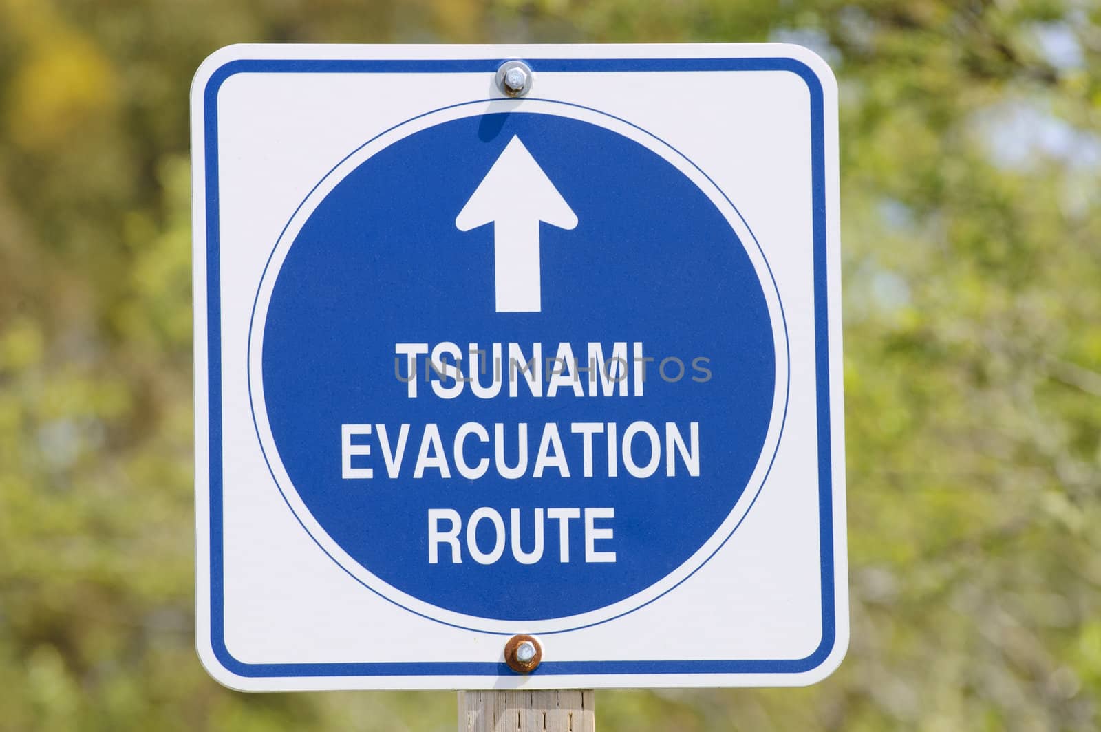 Tsunami roadsign near Pescadero, California