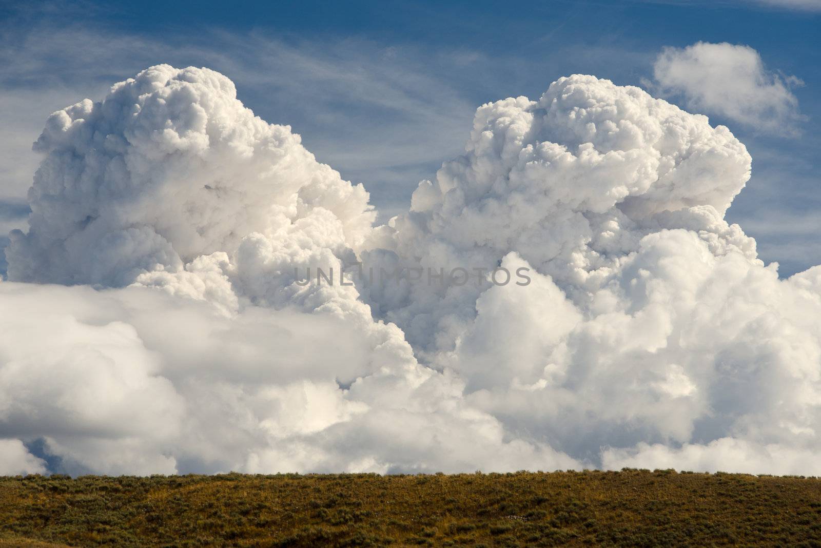 Swelling cumulus clouds and sagebrush, Grand Teton National Park, Wyoming, USA