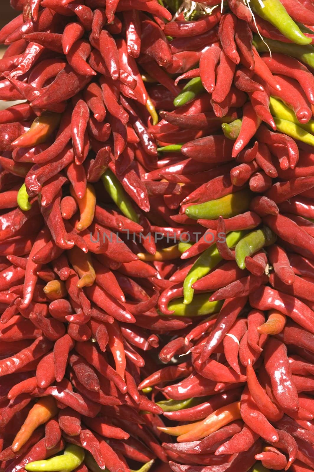 bunch of red hot chile peppers in street market as a background