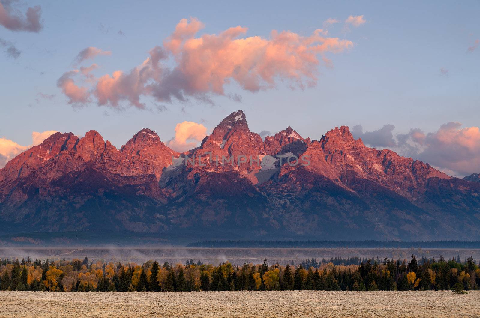 The Teton Mountains and mixed forest along the Snake River at sunrise in autumn, Grand Teton National Park, Wyoming, USA by CharlesBolin