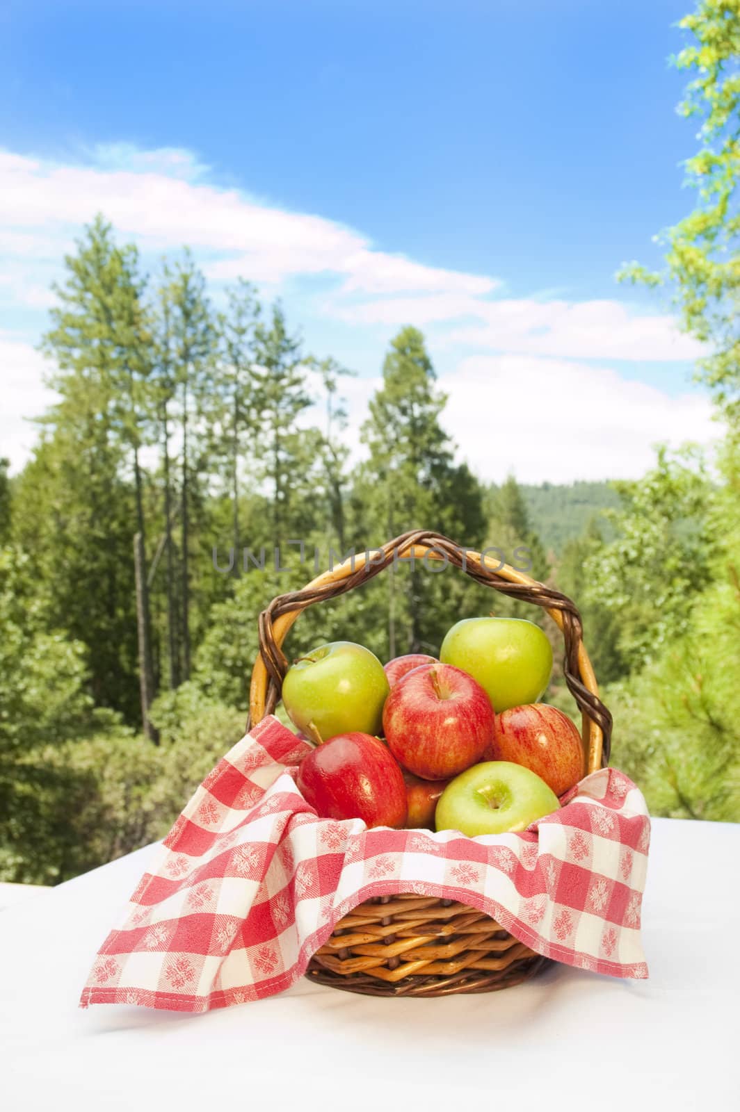 fresh fruit in a a basket in an outdoor setting 