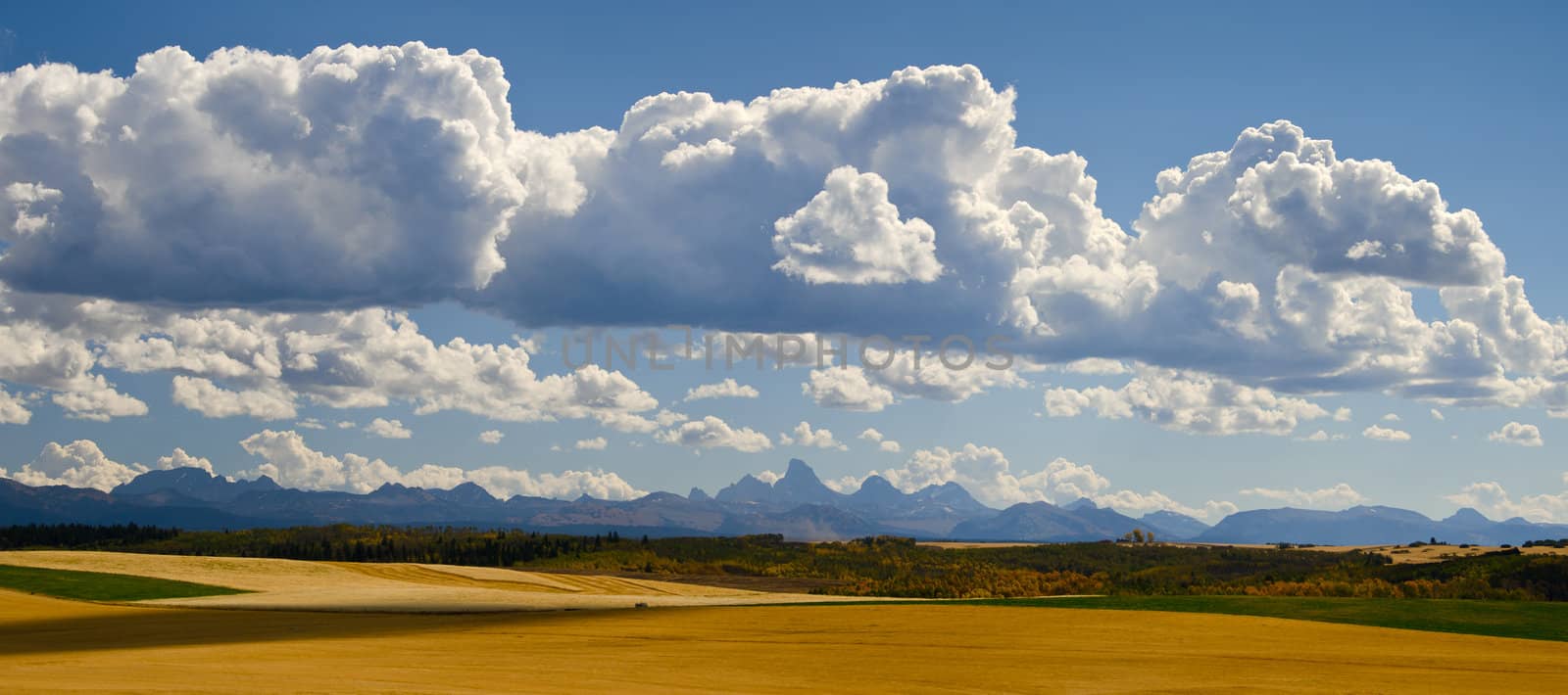 Panorama of rolling farmland, the Teton Mountains and cumulus clouds, Teton County, Idaho, USA