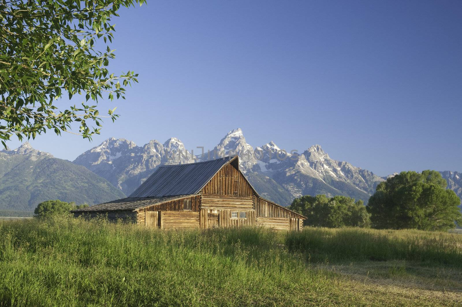 iconic scene of old Mormon barn (circa 1880's) on Mormon Row in the Teton National park 