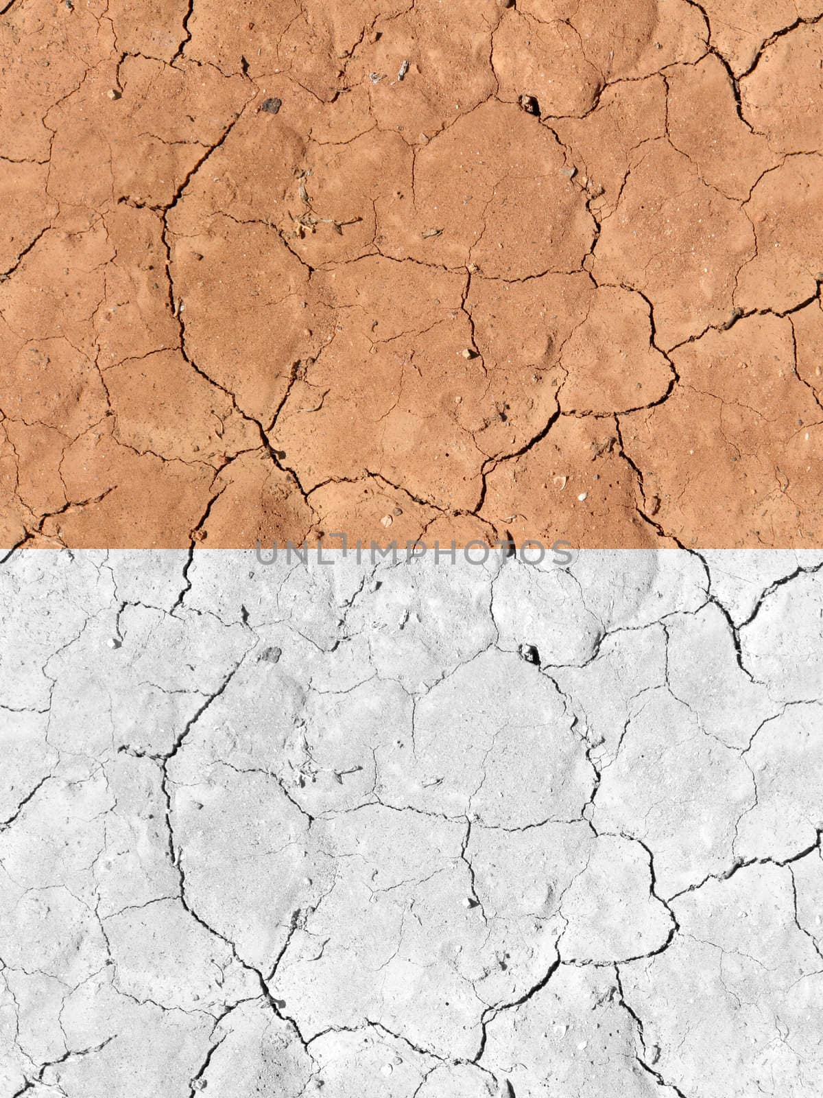 Tilable Texture - Dry Desert Ground II by PixBox