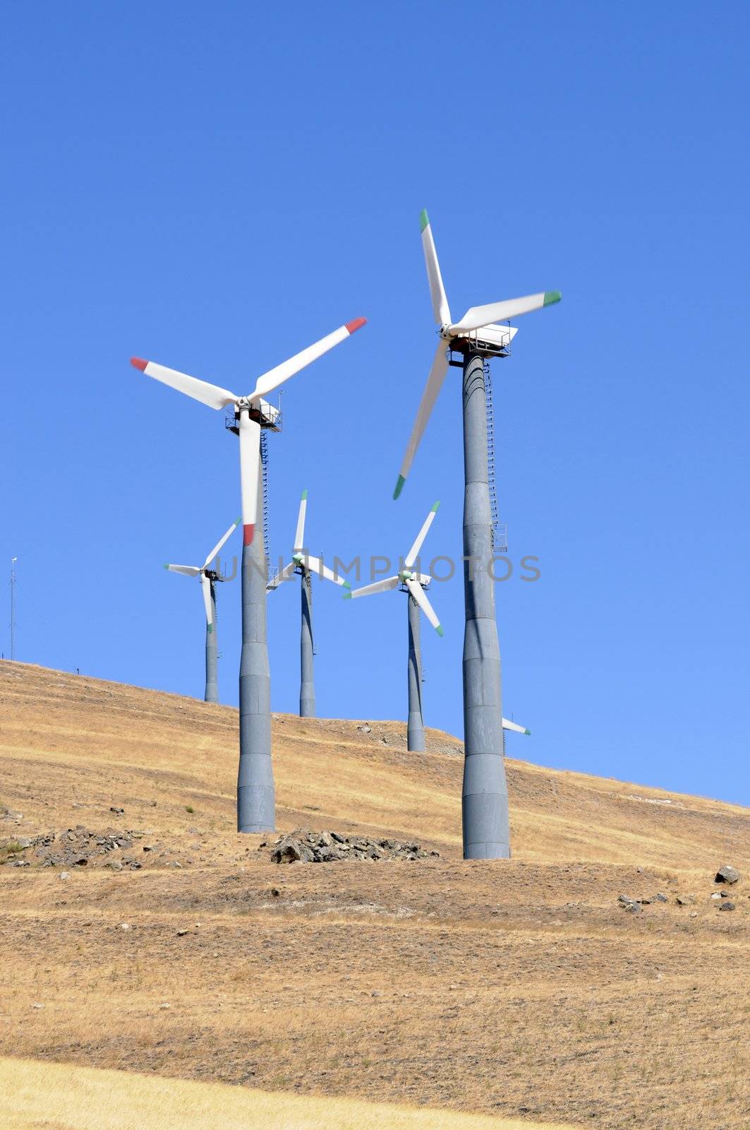 Alternate energy power source wind generator farm in California 