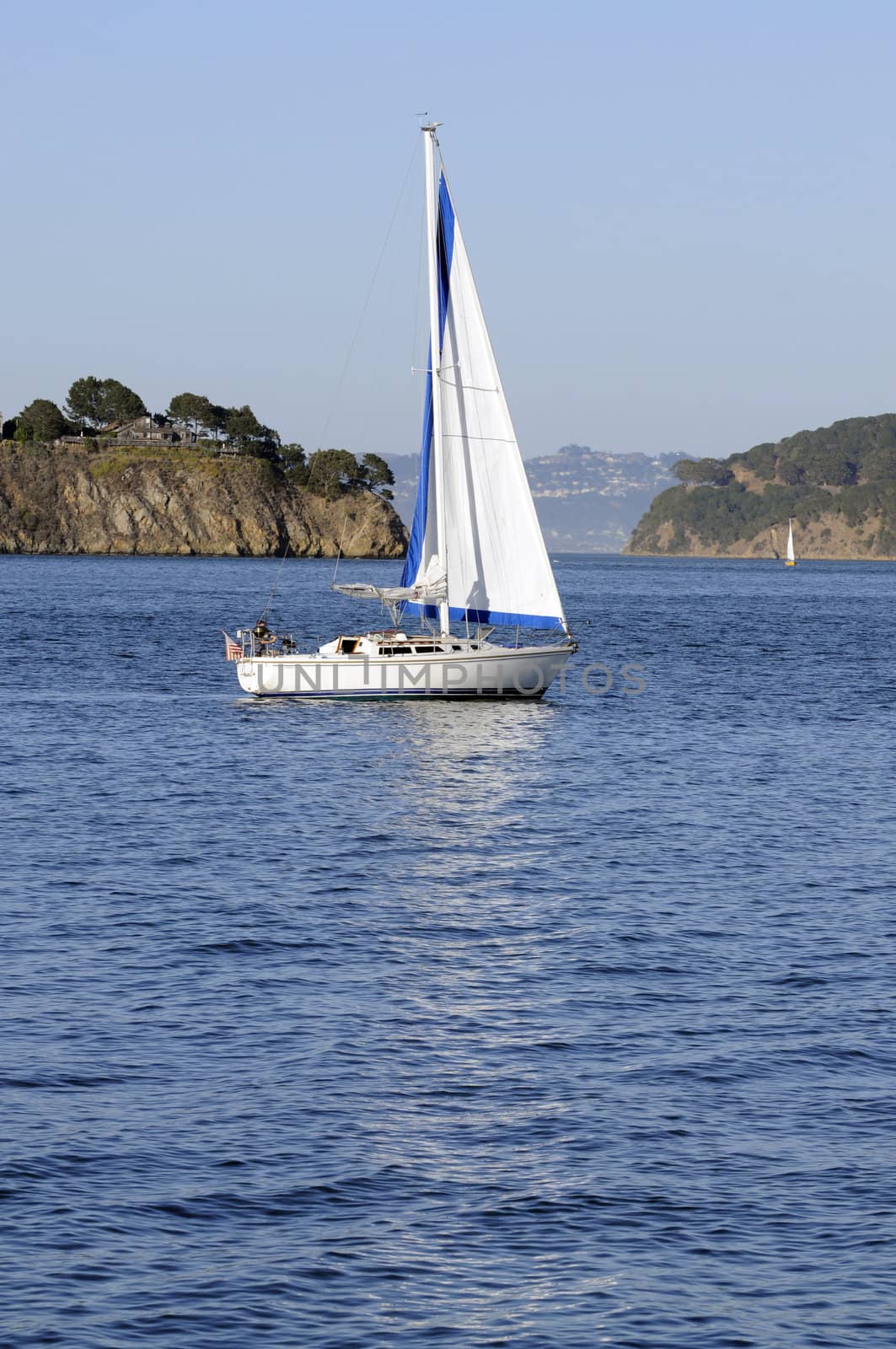 Sailboat in San Francisco Bay with jib sail up and mainsail reefed, reflected in the water