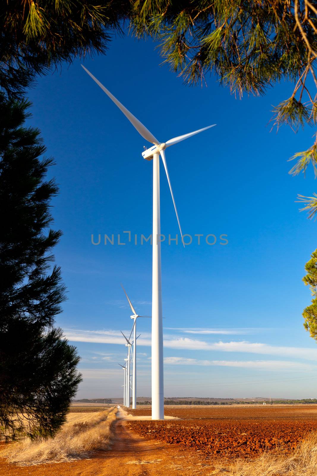 Typical windmill or aerogenerator of aeolian energy