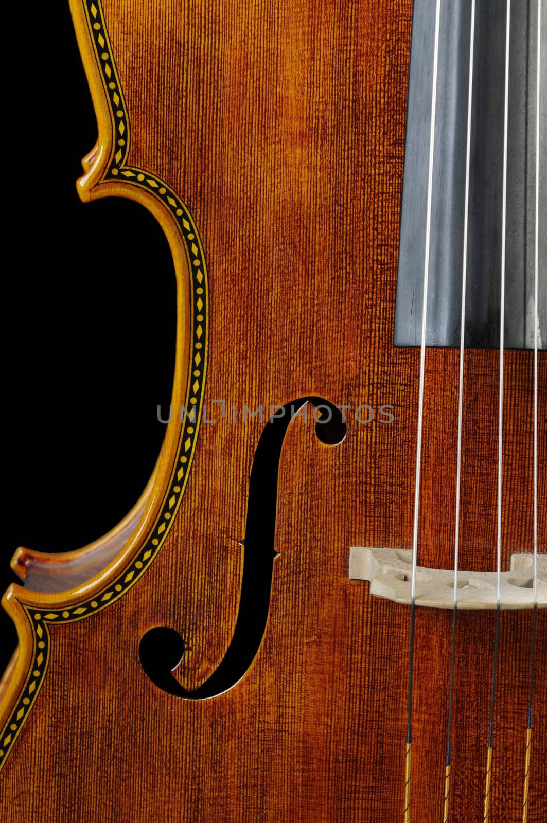 beautiful cello over a black background