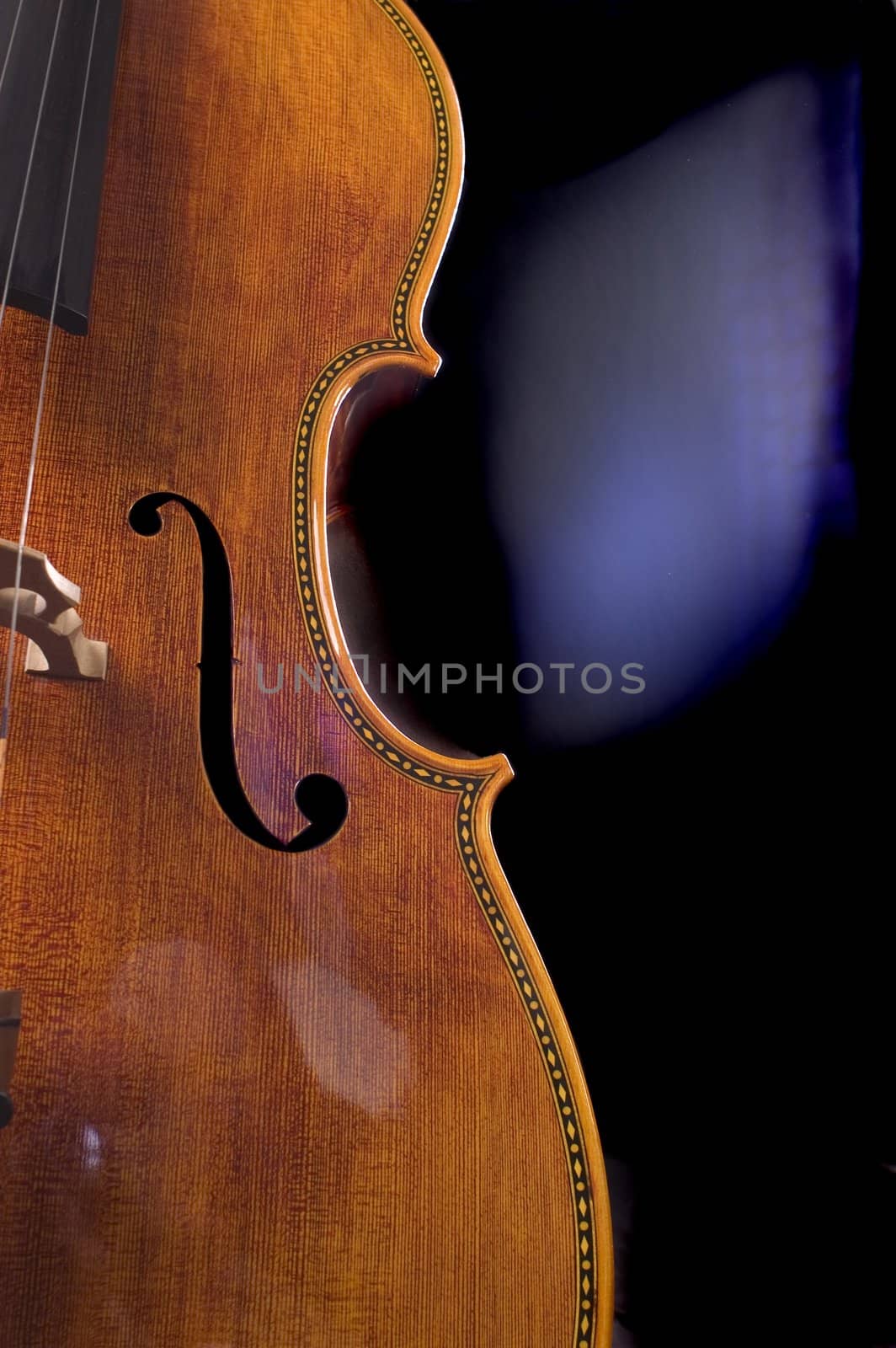 closeup of the scroll work on a beautiful cello
