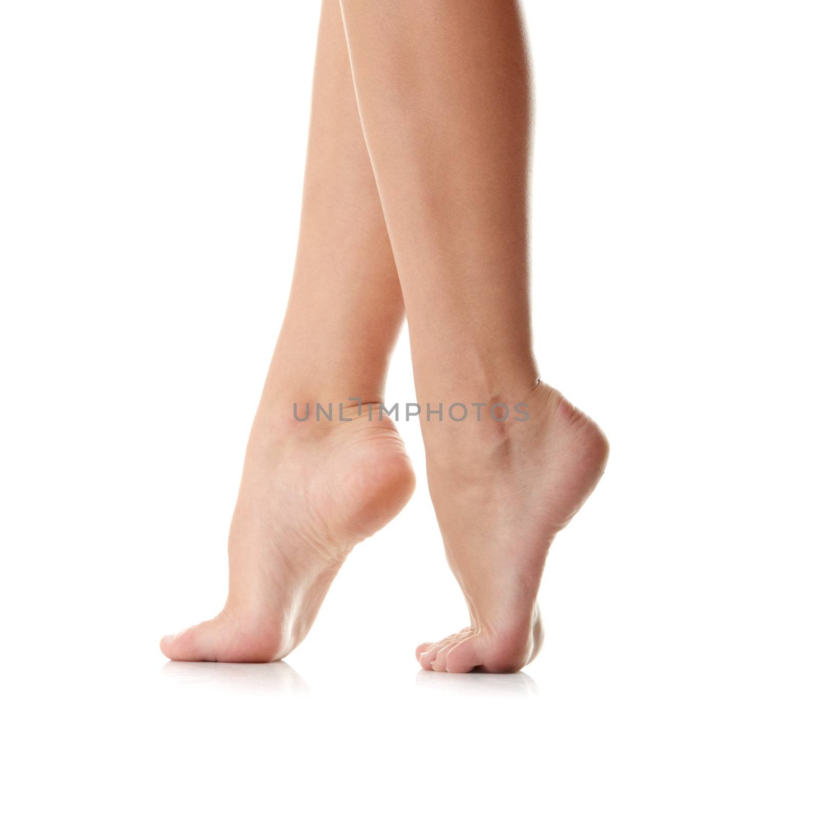 Long pretty woman legs isolated on white