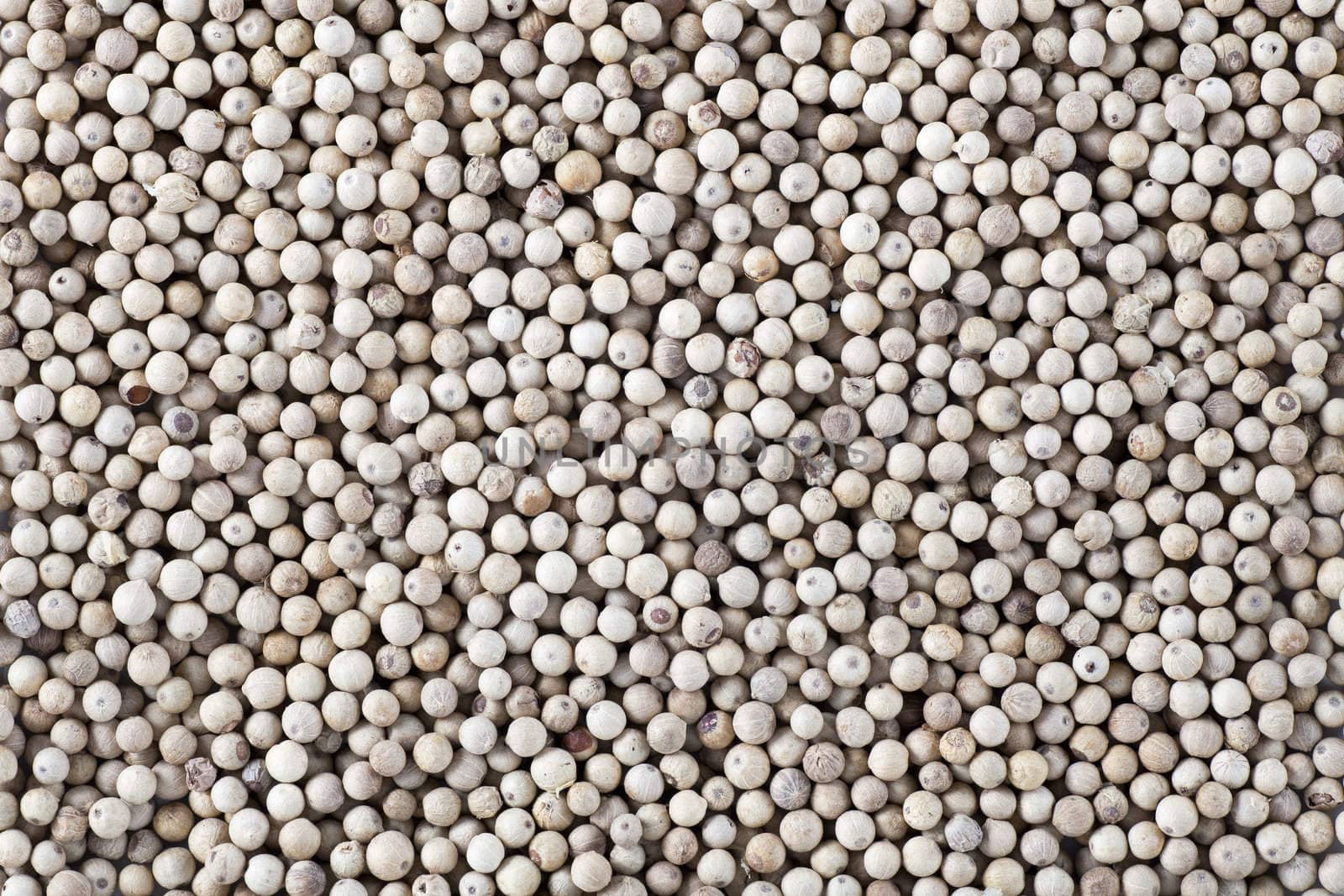 White peppercorn texture or food background.