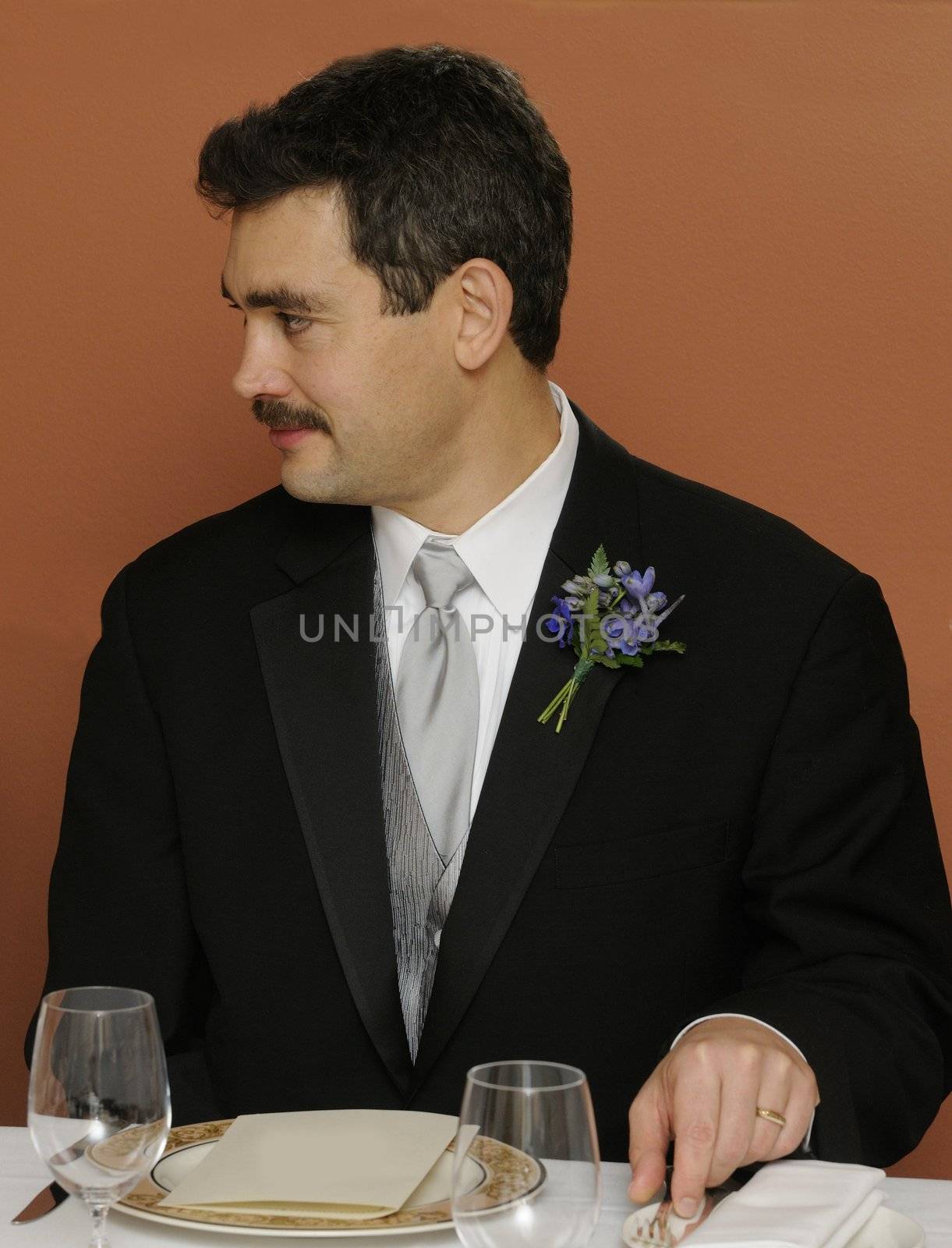 Groom - formal wedding image in Russian consulate, San Francisco