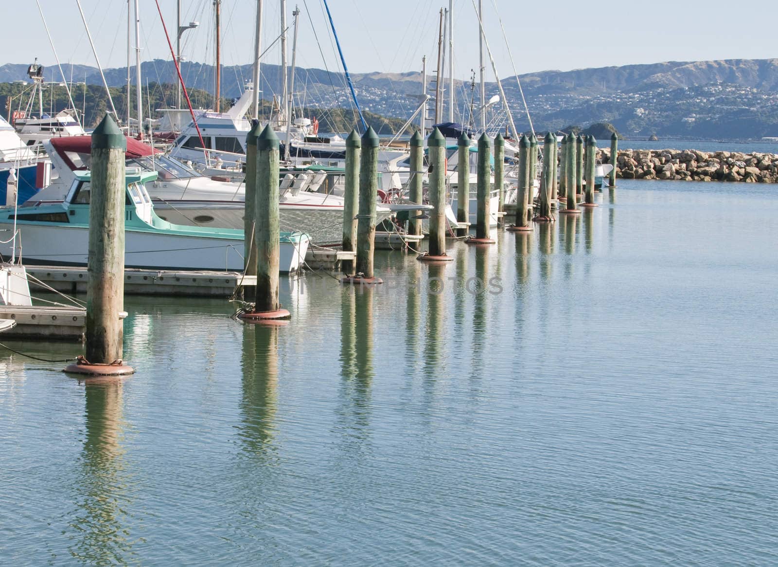 Piling posts in Petone Marine, New Zealand