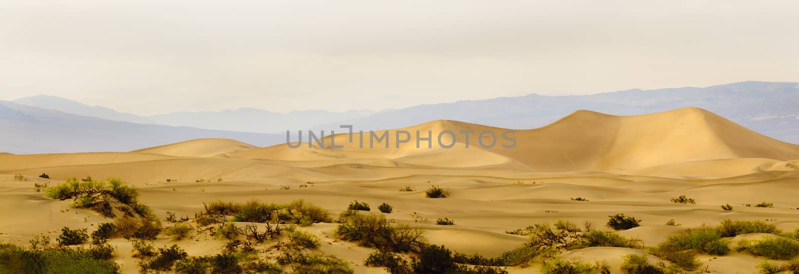 sunset in Death Valley on Mesquite Dunes