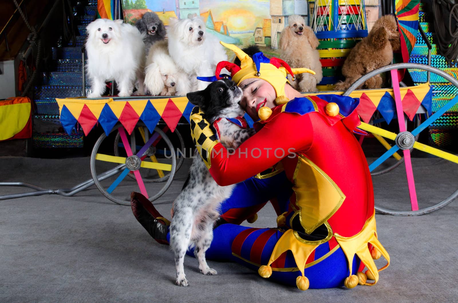 Smiling harlequin with closed eyes embraces his small dog. At the background group of dogs and carriage