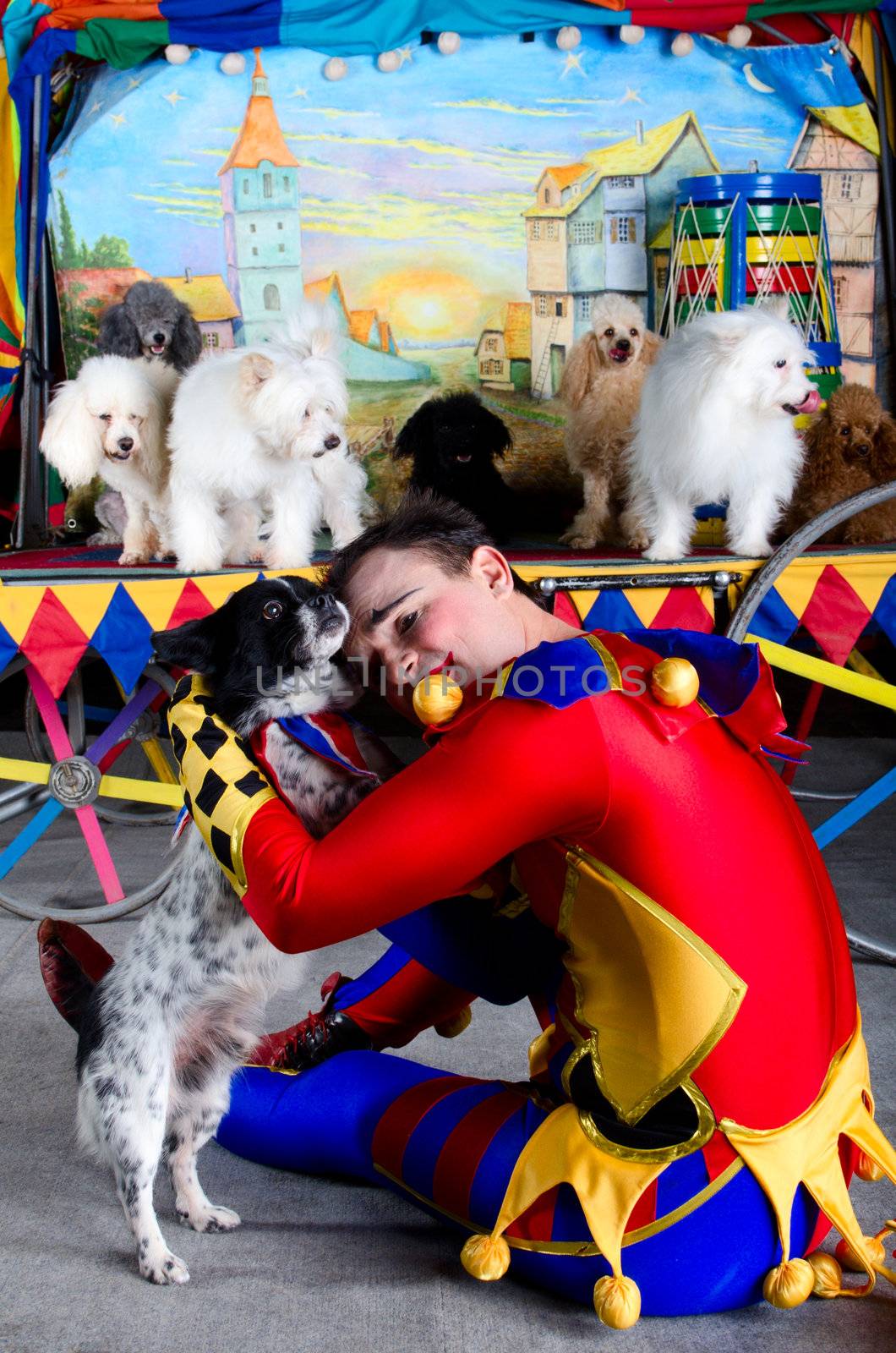 Harlequin clown in depression embrace his small dog. At the backround group of dogs and painting of the old town