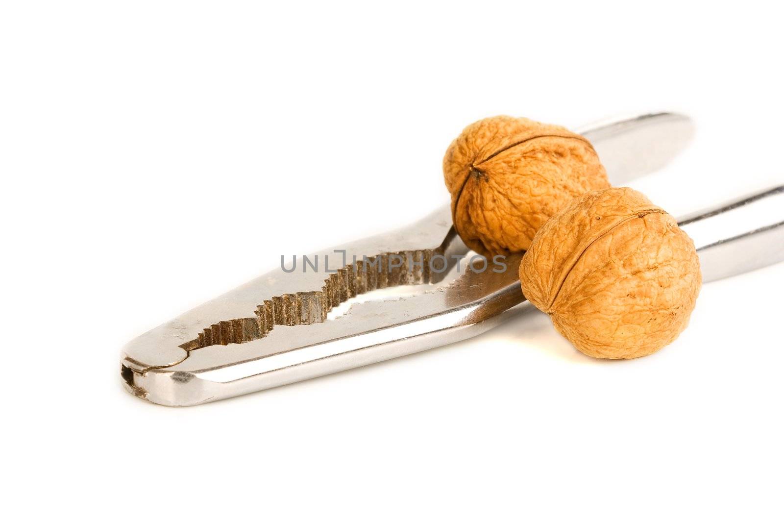 health food walnut snack on isolated background nutshell