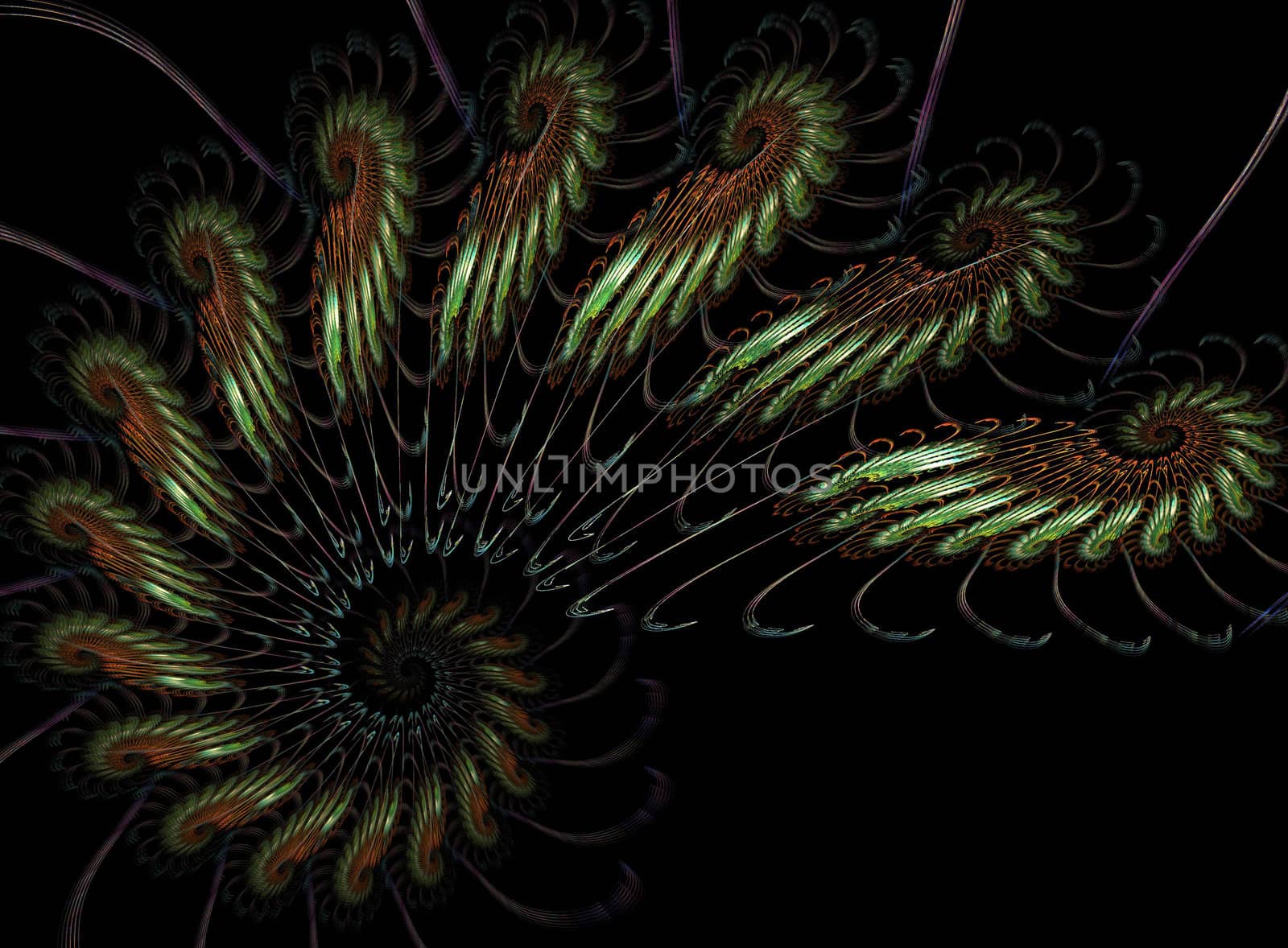 abstract spiral flame on the black background