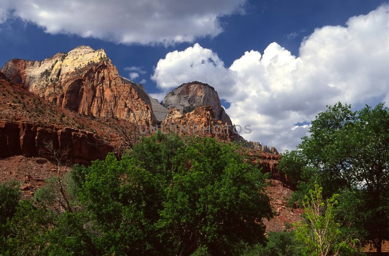 Zion National Park is a United States National Park located in the Southwestern United States, near Springdale, Utah.