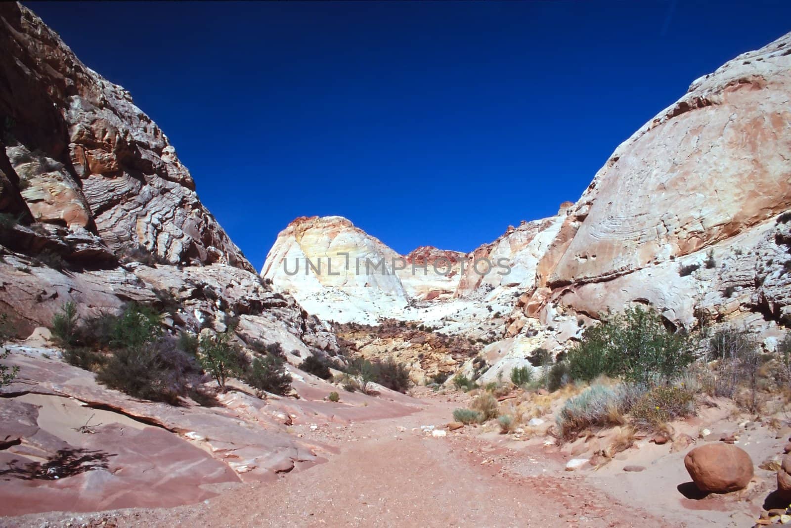 Capitol Reef National Park is a United States National Park, in south-central Utah.