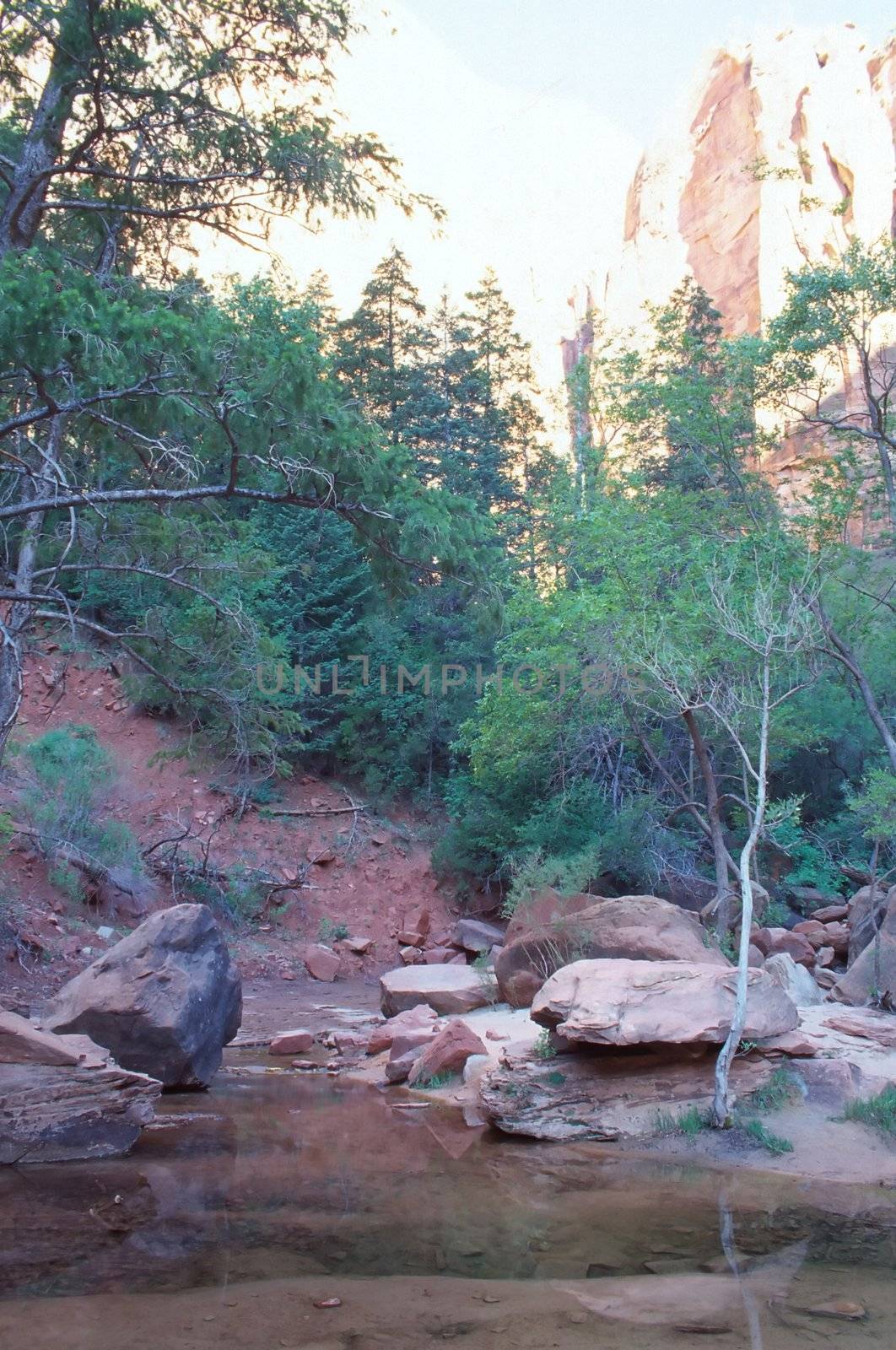 Zion National Park is a United States National Park located in the Southwestern United States, near Springdale, Utah.