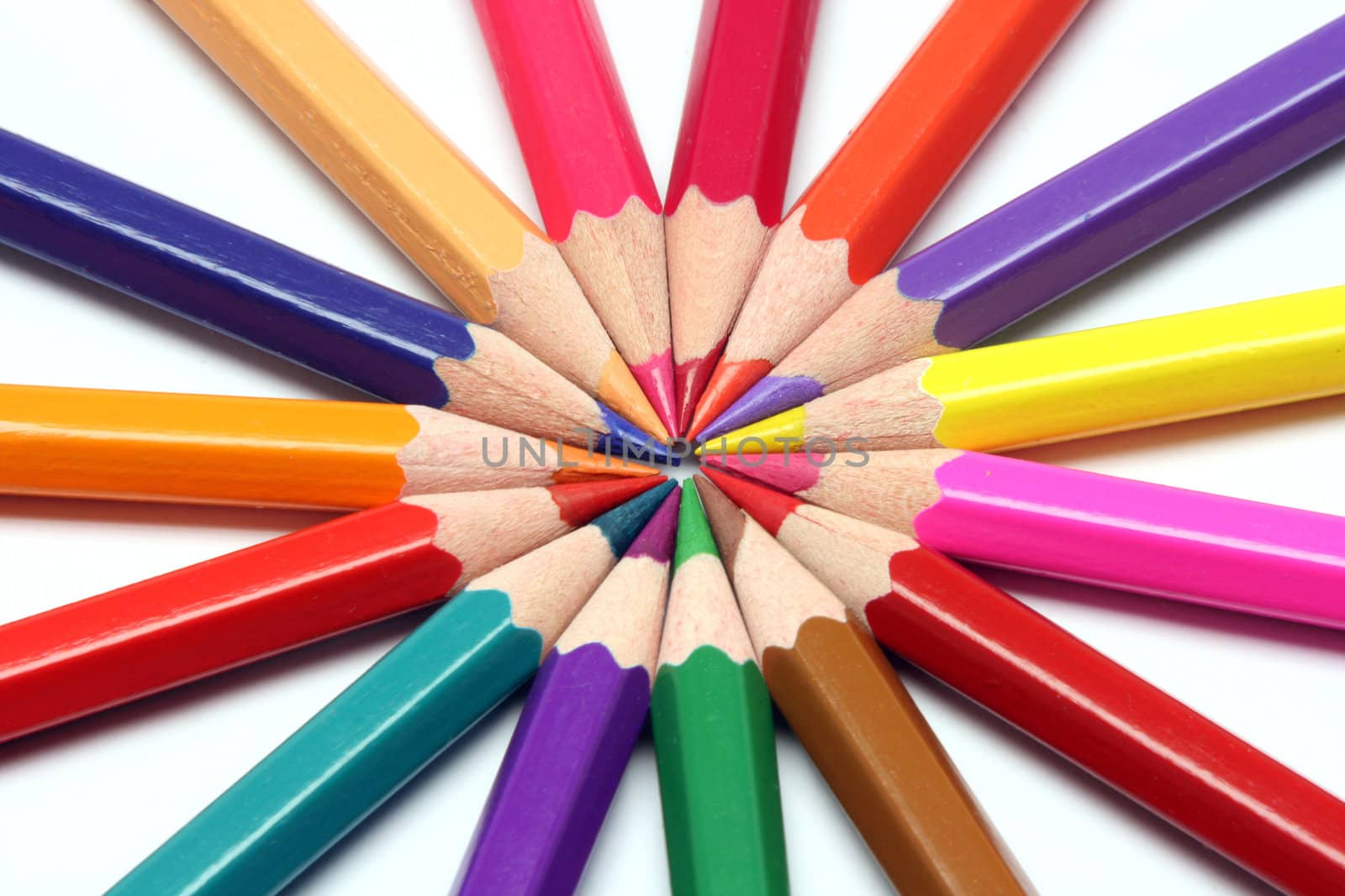 pencils sharpened in a cirle color assortment on white backgroud