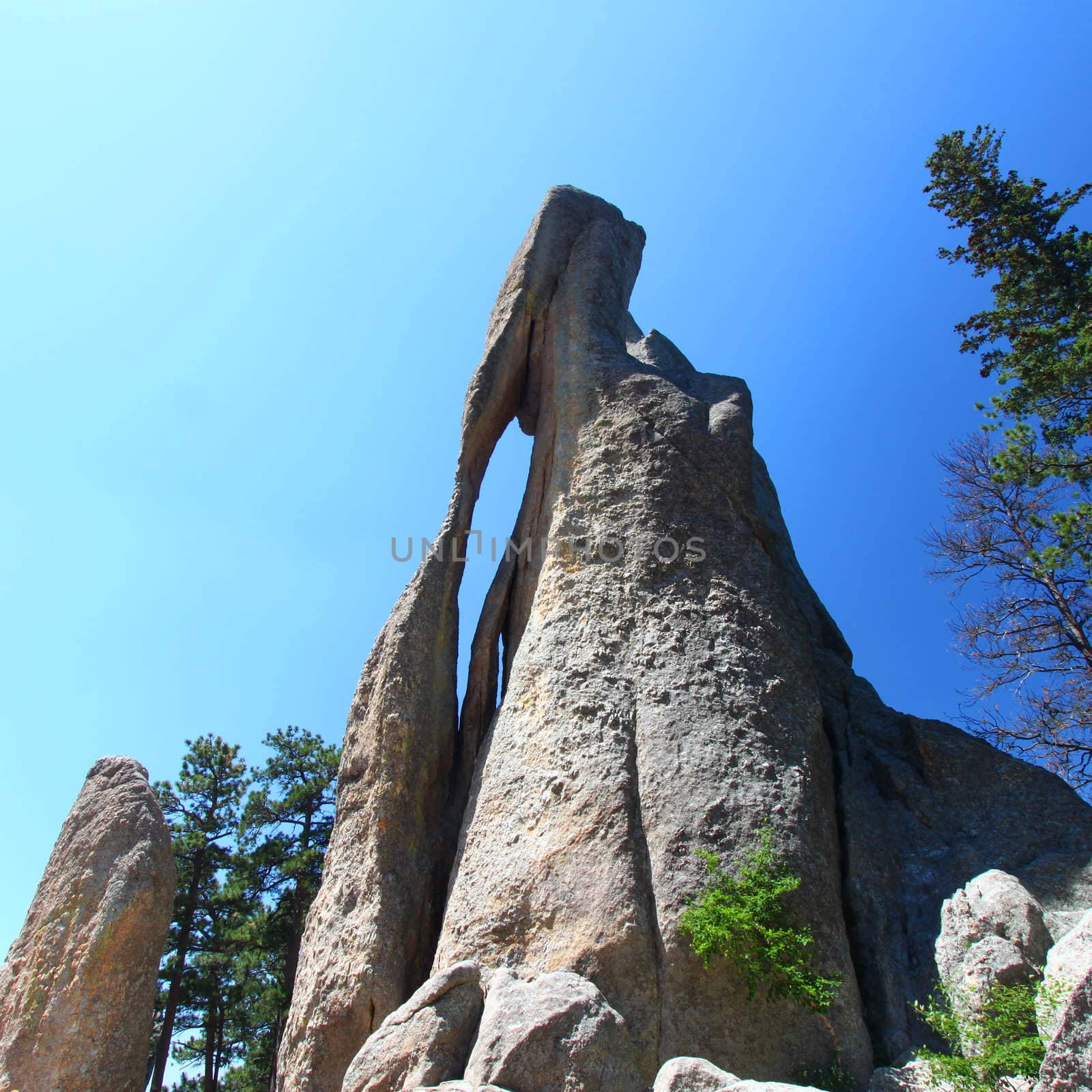 View of the Needles Eye in Custer State Park of South Dakota.
