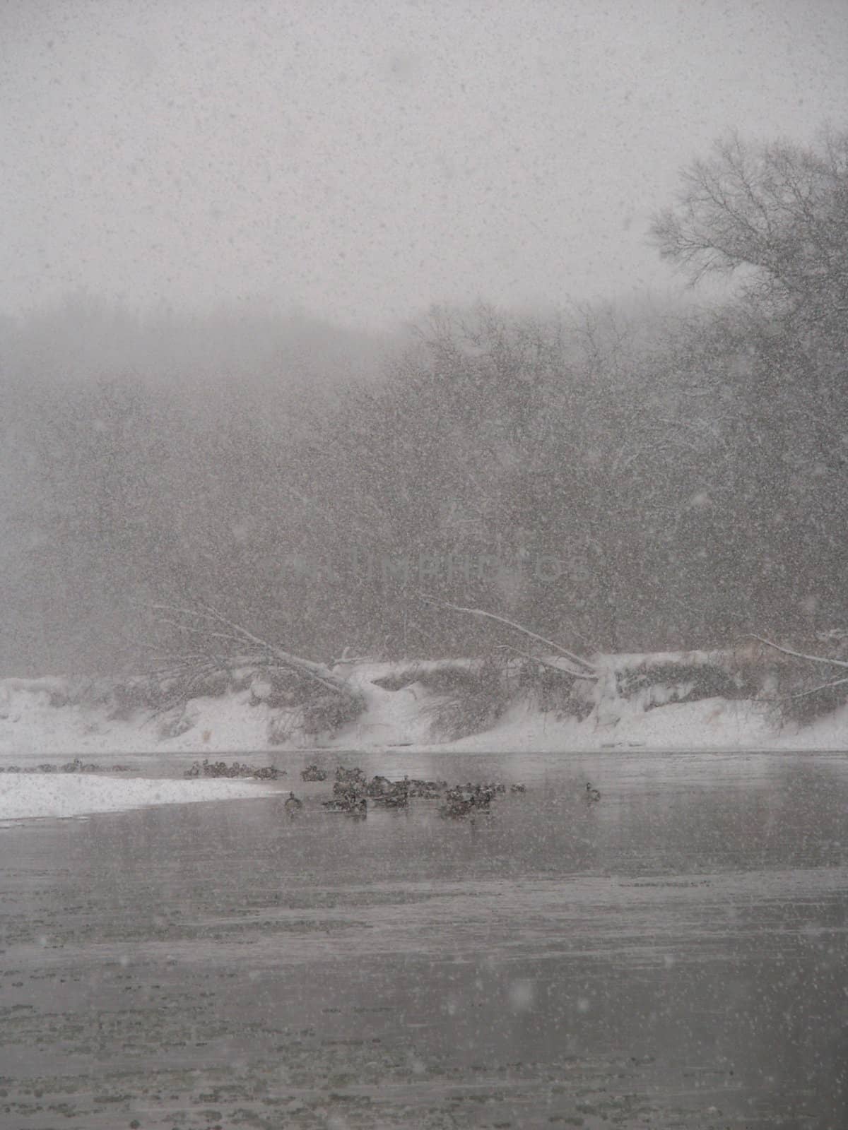 Snowstorm along the Kishwaukee by Wirepec