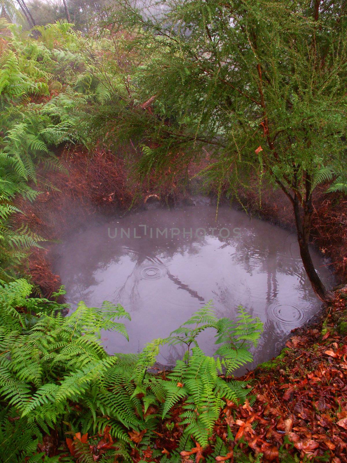 A beautiful hot spring at Kuirau Park in Rotorua - New Zealand.