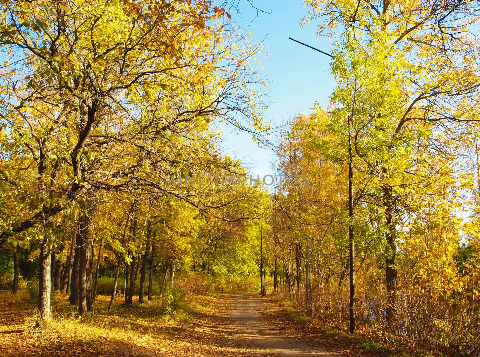 Park in the fall 