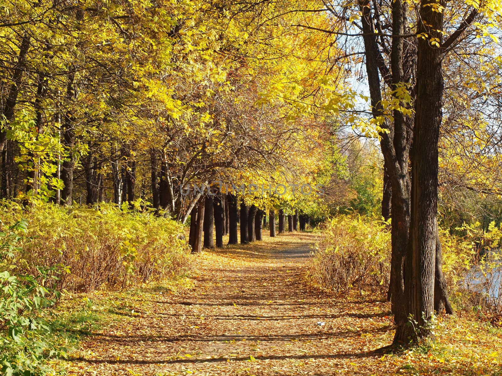 Park in the fall 