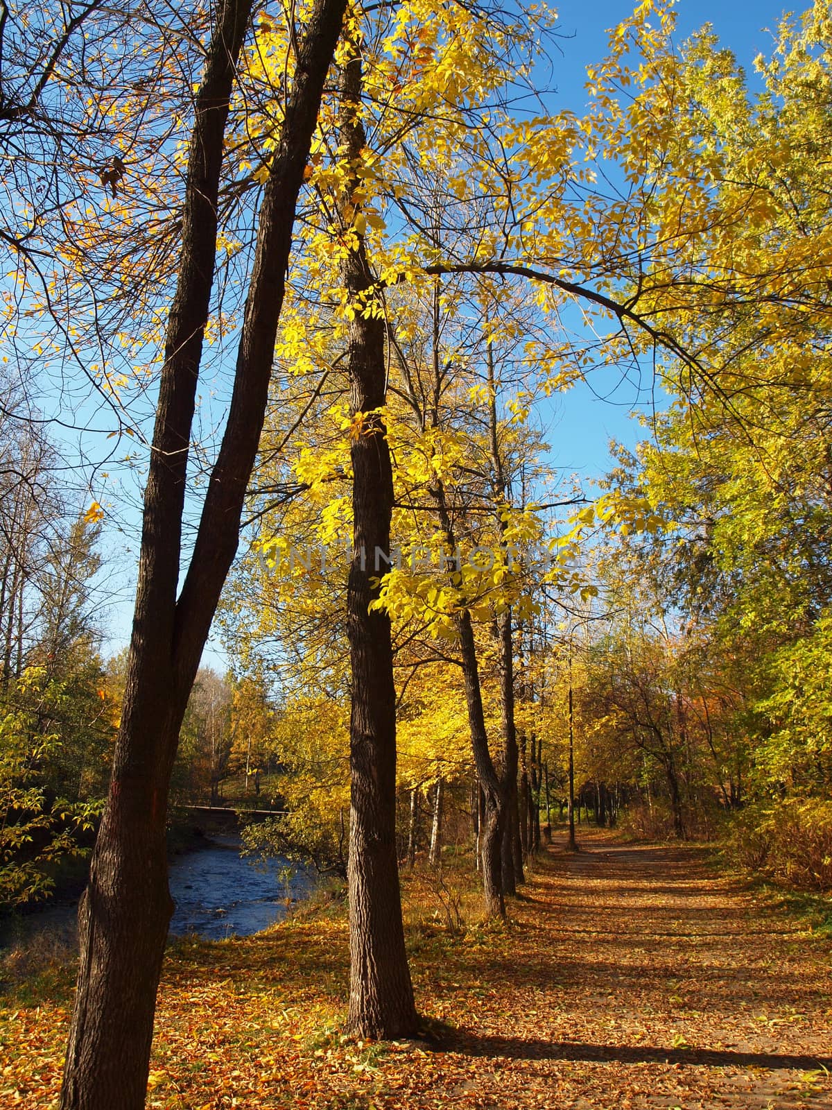 Park in the fall 