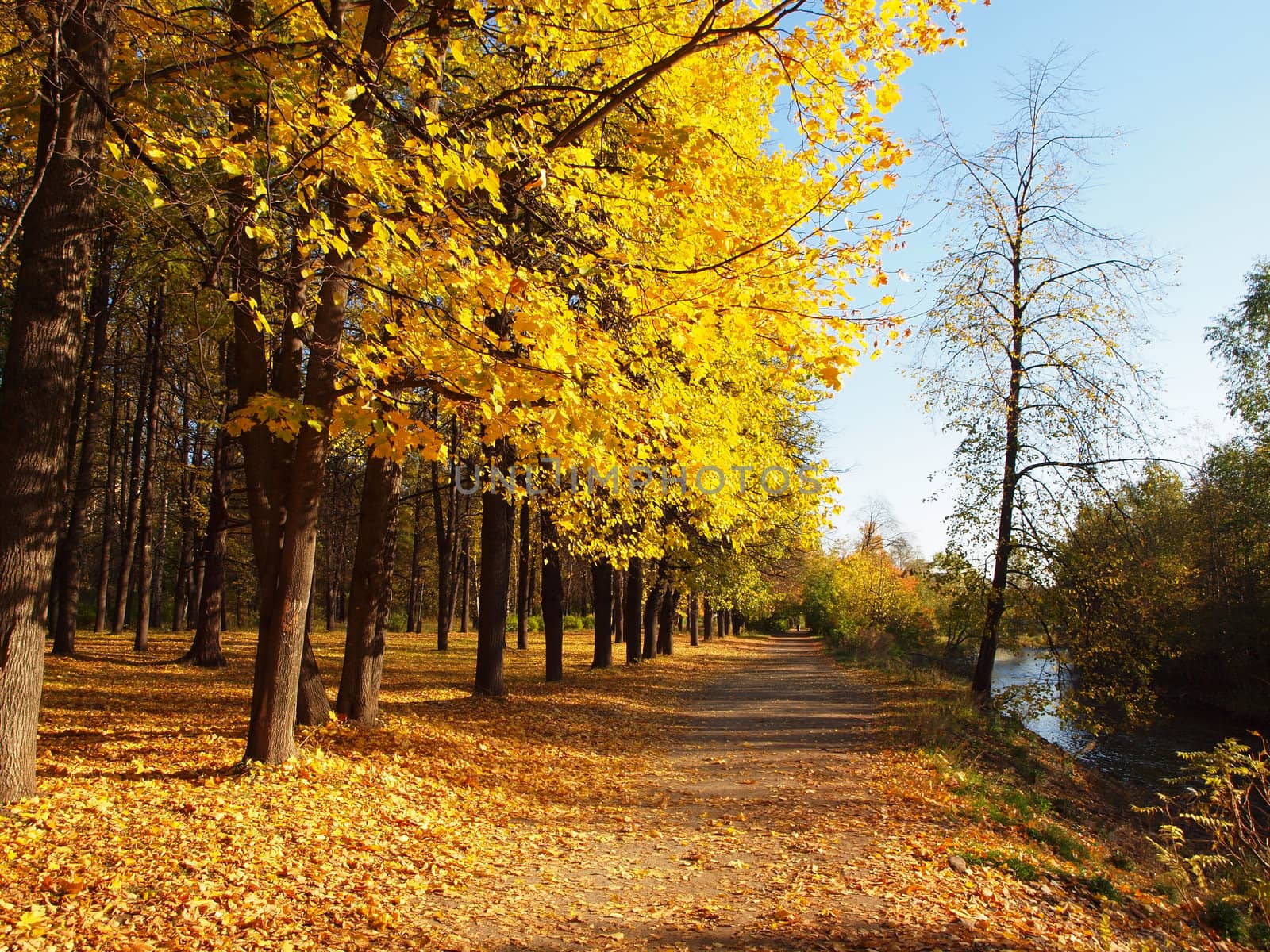 Park in the fall 