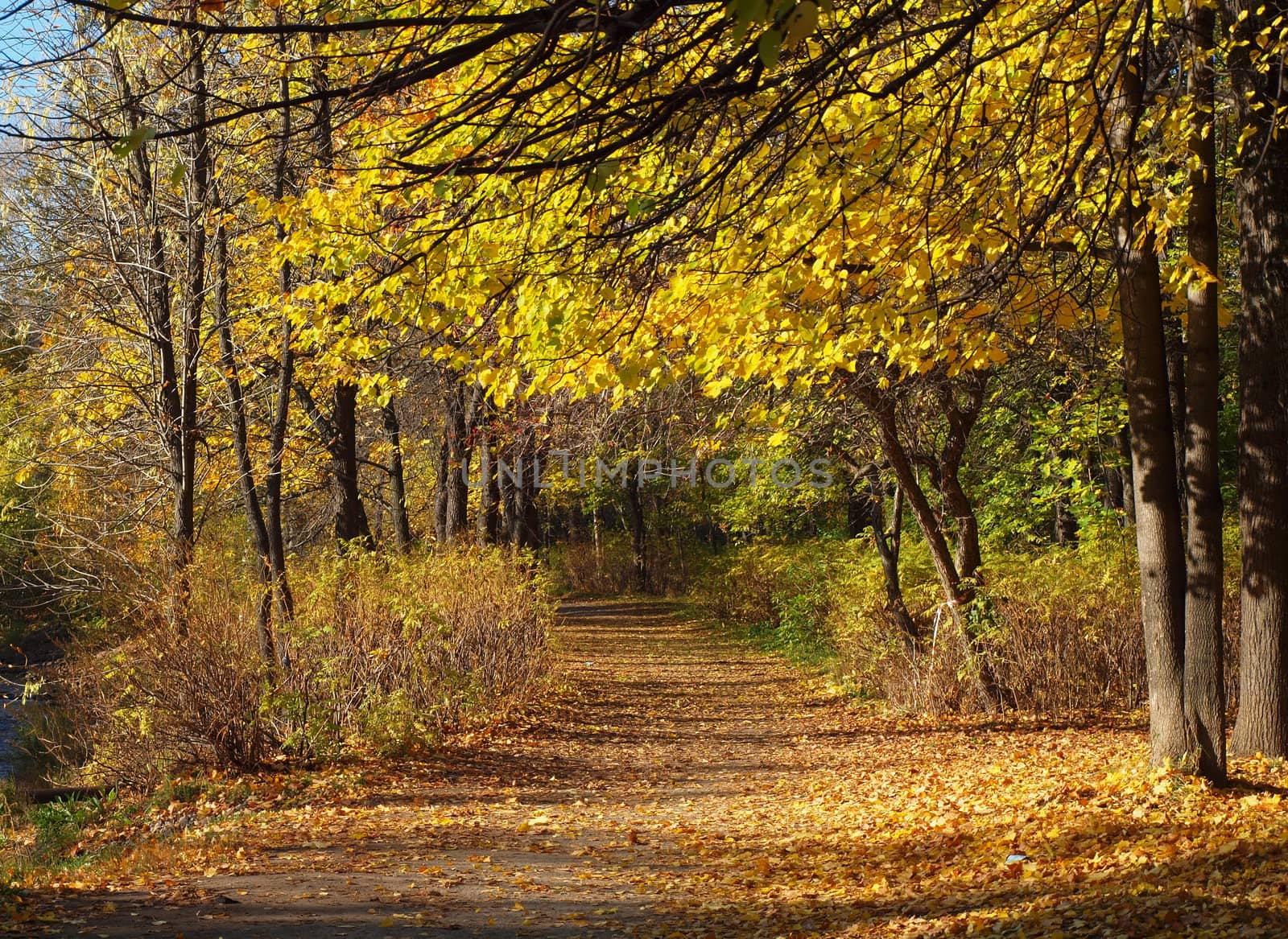 Park in the fall 