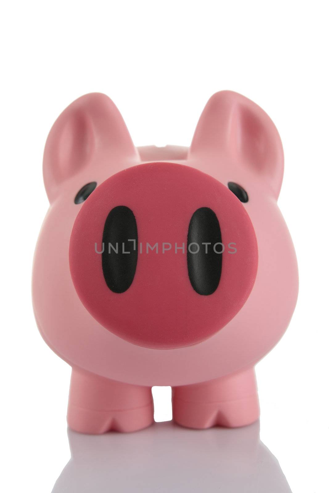 Pink Piggy Bank (moneybox) isolated on white